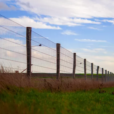 Waarom kies je best een weidepaal dikker dan 6 centimeter voor draadgaasomheining?