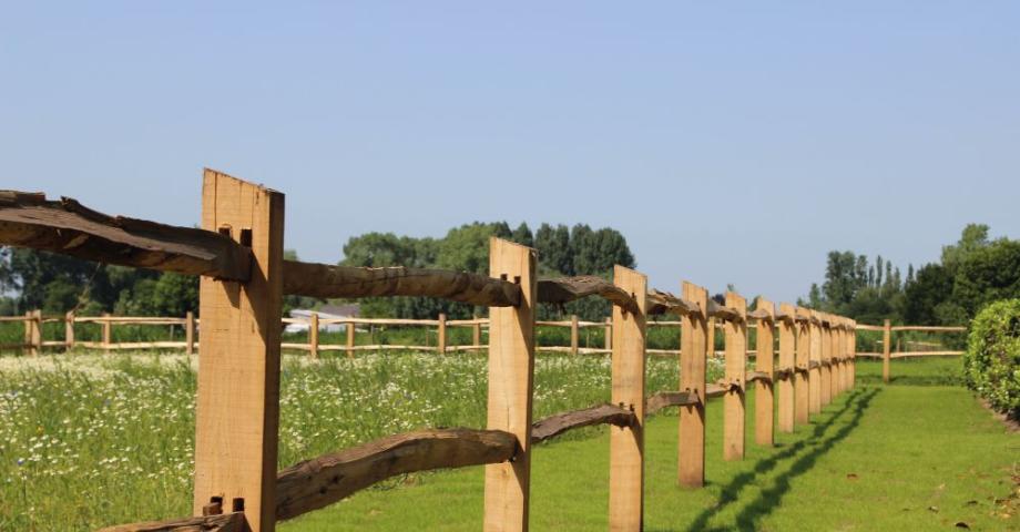 Valla de castaño partido con postes cuadrados y 2 travesaños en un campo