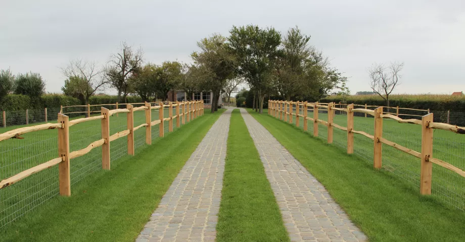 Wat is het verschil tussen geïmpregneerde grenen palen en Robinia palen?